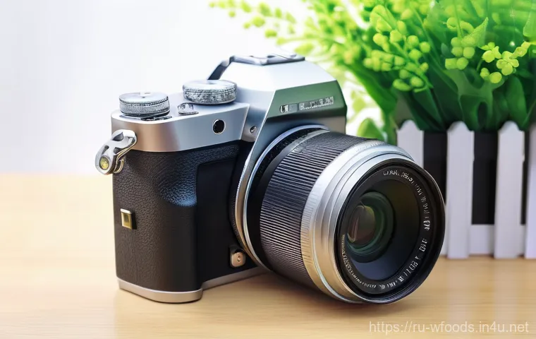 양식조리사 직업의 장단점 이미지 2