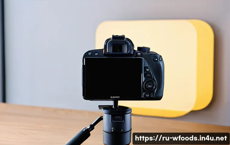 양식조리사로 해외에서 일하며 겪는 문화 차이 관련 이미지 1